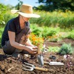 3-Piece Garden Tool Set with Wood Handles