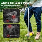 Walensee Stand-Up Weed Puller with 3 Claws