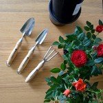 Spear & Jackson 3-Piece Stainless Potting Tool Set