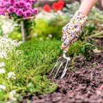 3-Piece Garden Tool Set with Wood Handles