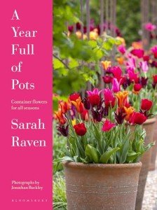 Seasonal Flower Pots for Every Garden Year