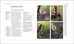 Ultimate Gardening Guide for Every Gardener