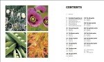 RHS Gardening Throughout the Year: Monthly Guide