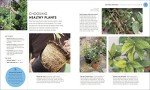 Beginner's Guide to Gardening: RHS Essentials