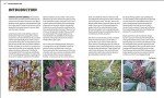 RHS Gardening Throughout the Year: Monthly Guide