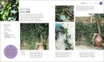 Beginner's Guide to Gardening: RHS Essentials