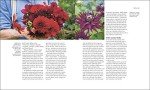 Ultimate Gardening Guide for Every Gardener
