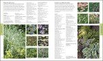 Plants and Flowers Encyclopedia by RHS