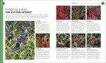 Beginner's Guide to Gardening: RHS Essentials