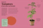 40 Plant Growing Hacks from Grocery Finds