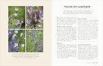 Month-by-Month Guide for Budget-Friendly Gardening