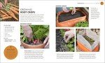 Beginner's Guide to Gardening: RHS Essentials