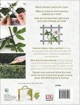 RHS Pruning Guide: Tips for 800 Plants