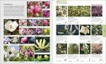 Plants and Flowers Encyclopedia by RHS