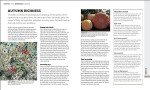 RHS Gardening Throughout the Year: Monthly Guide
