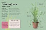 40 Plant Growing Hacks from Grocery Finds