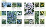 Plants and Flowers Encyclopedia by RHS