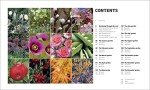 Month-by-Month Gardening Inspiration and Planning Guide