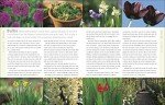 The Gardener's Handbook: Your Guide to Gardening Success