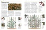 RHS Pruning Guide: Tips for 800 Plants