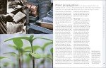 The Gardener's Handbook: Your Guide to Gardening Success