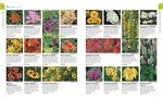 RHS Planting Guide: What to Grow Where