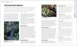 Month-by-Month Gardening Inspiration and Planning Guide
