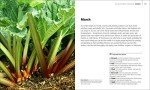 Gardening Guide: Monthly Fruit and Veg Essentials