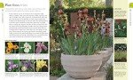 RHS Planting Guide: What to Grow Where