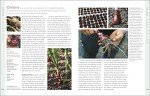 The Gardener's Handbook: Your Guide to Gardening Success