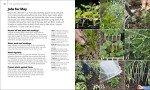 Gardening Guide: Monthly Fruit and Veg Essentials