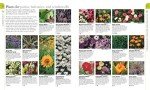 RHS Planting Guide: What to Grow Where