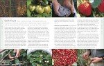 The Gardener's Handbook: Your Guide to Gardening Success