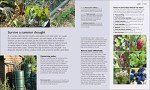 Gardening Guide: Monthly Fruit and Veg Essentials