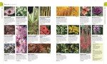 RHS Planting Guide: What to Grow Where