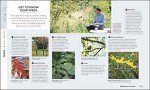 Transform Your Outdoor Space: Garden Ideas & Tips
