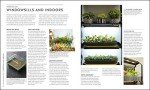 RHS Veg Patch Guide: Grow Fruit and Veg Easily