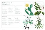 Gardener’s Guide: Fascinating Facts & Unique Plants