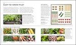 RHS Veg Patch Guide: Grow Fruit and Veg Easily
