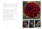 Monty Don's Essential Gardening Guide Book