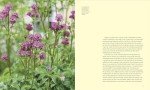 150 Plants to Brighten Your Garden and Life
