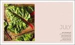 Veg in One Bed: Month-by-Month Gardening Guide