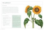 Gardener’s Guide: Fascinating Facts & Unique Plants