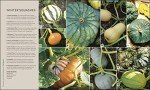 RHS Veg Patch Guide: Grow Fruit and Veg Easily