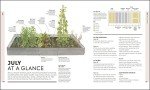 Veg in One Bed: Month-by-Month Gardening Guide