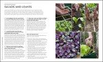 RHS Veg Patch Guide: Grow Fruit and Veg Easily