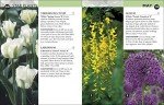 RHS Gardening Month by Month: Your Garden Guide