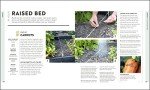Veg in One Bed: Month-by-Month Gardening Guide