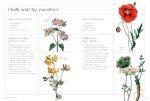 Gardener’s Guide: Fascinating Facts & Unique Plants