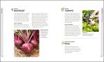 Veg in One Bed: Month-by-Month Gardening Guide
